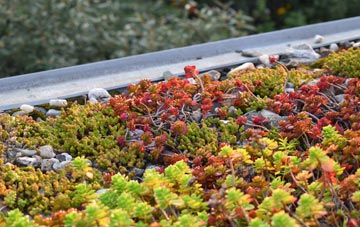 the cost of Skewes green roof installation